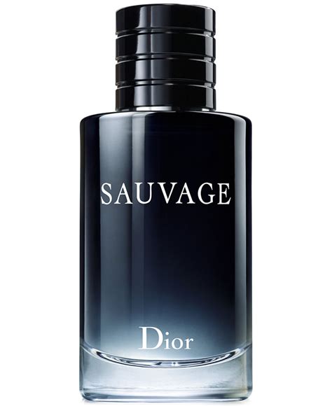 swage dior|dior perfume 180.0.